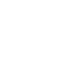 GP Consultation