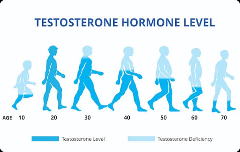 Testosterone levels chart