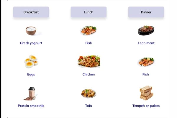how to spread your protein across the day content