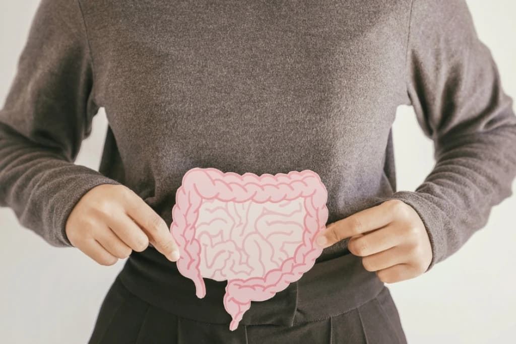 ### **Gut health and menopause:**
## How Changing Hormones Affect Your Digestion And Microbiome