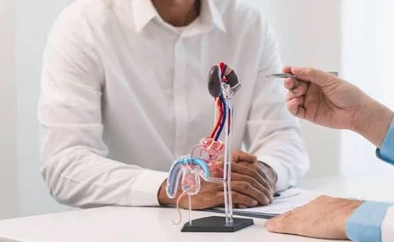 Urology & Andrology