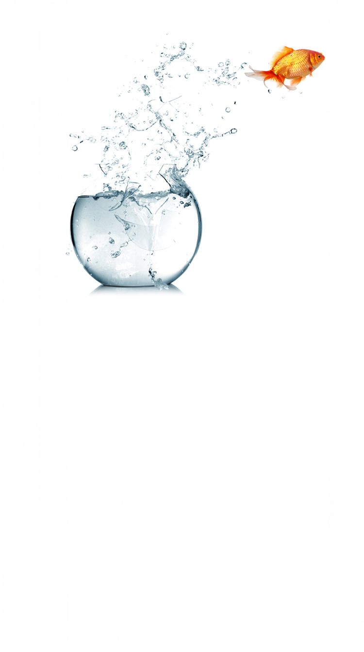 LIPS Healthcare Pharmacy - Battersea London