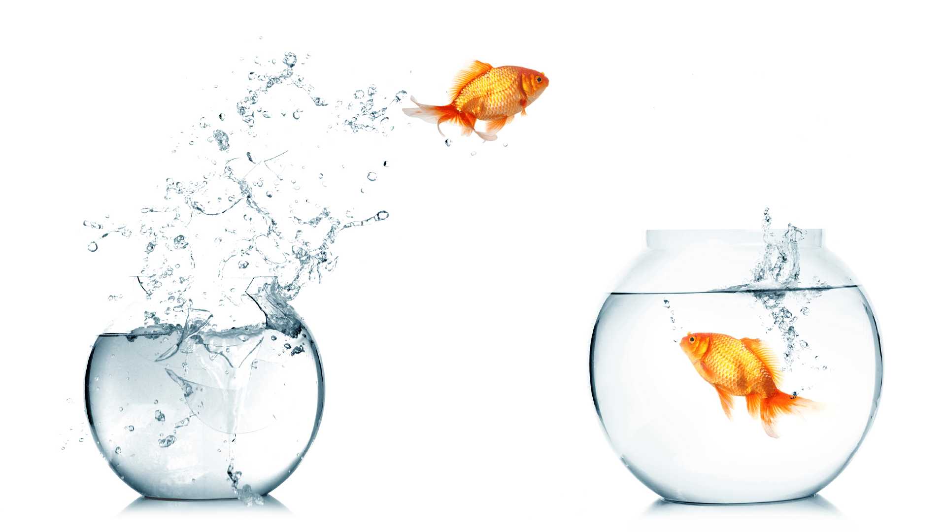 LIPS Healthcare Pharmacy - Battersea London