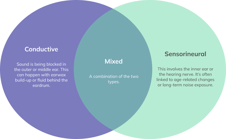 The main types of hearing loss